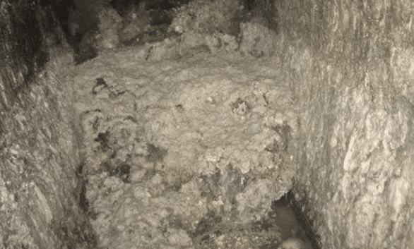 Fatberg Prevention for Businesses